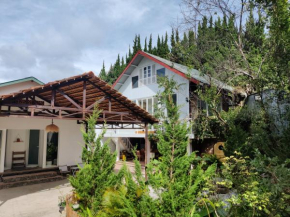 Summer Stay Dalat